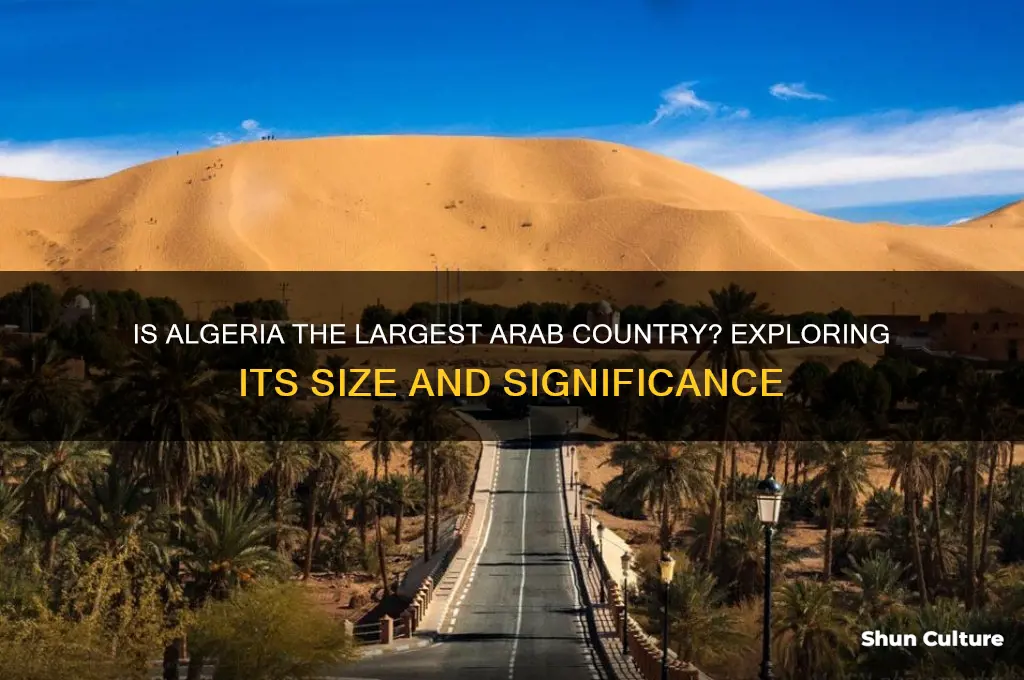 is algeria the largest arab country