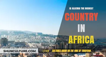 Is Algeria Africa's Wealthiest Nation? Exploring Economic Power and Resources
