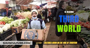 Is Algeria a Third World Country? Exploring Its Economic and Social Status