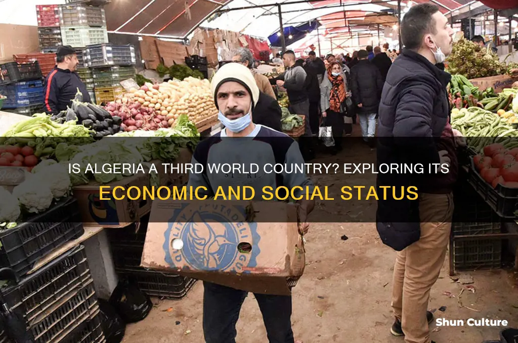 is algeria third world