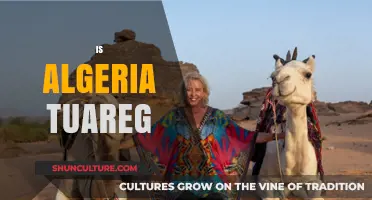 Exploring Algeria's Tuareg Heritage: Culture, Identity, and Desert Traditions