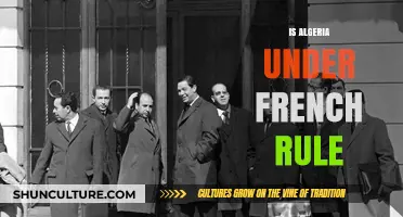 Algeria's Independence: Was It Truly Free from French Rule?