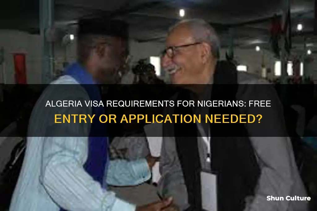 is algeria visa free to nigeria