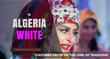 Is Algeria White? Exploring the Diversity of Algerian Ethnicity and Culture