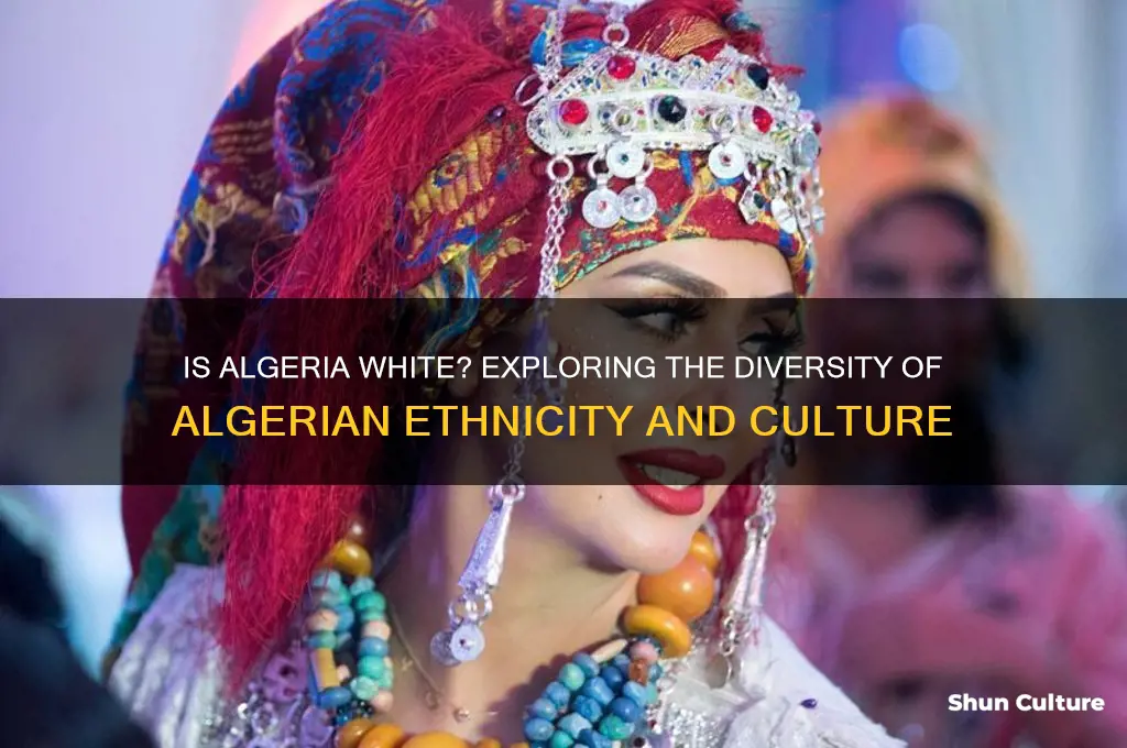 is algeria white