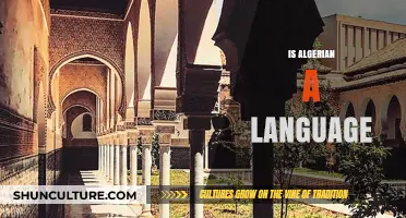 Is Algerian a Language? Exploring the Linguistic Identity of Algeria