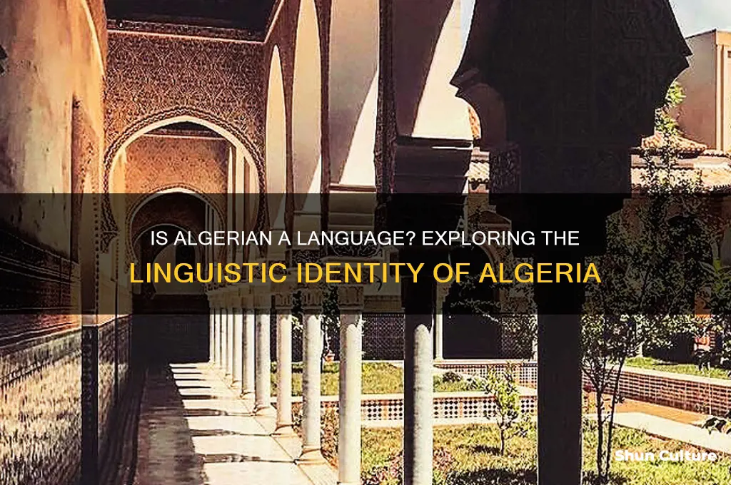 is algerian a language