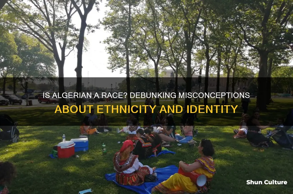 is algerian a race