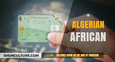 Is Algeria African? Exploring the Cultural and Geographical Identity