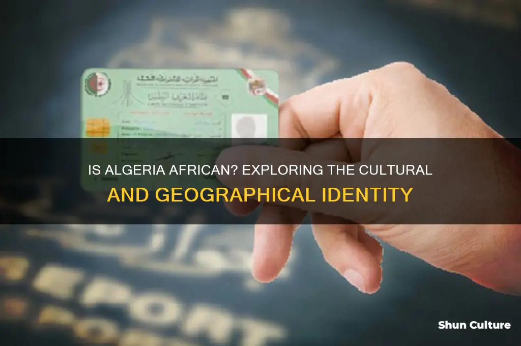 is algerian african