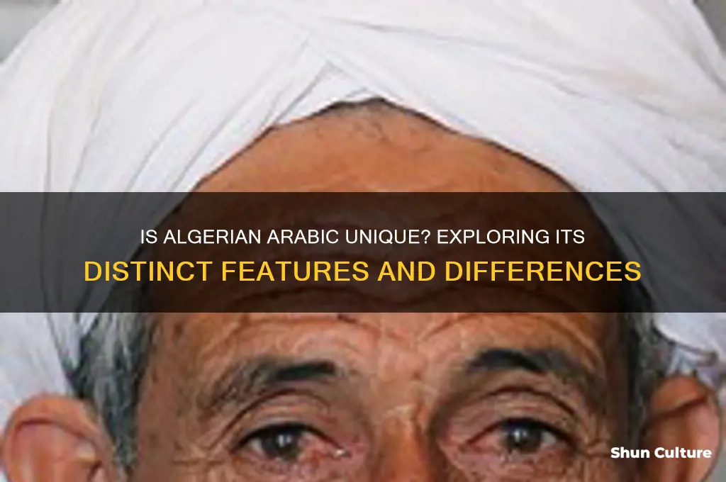 is algerian arabic different