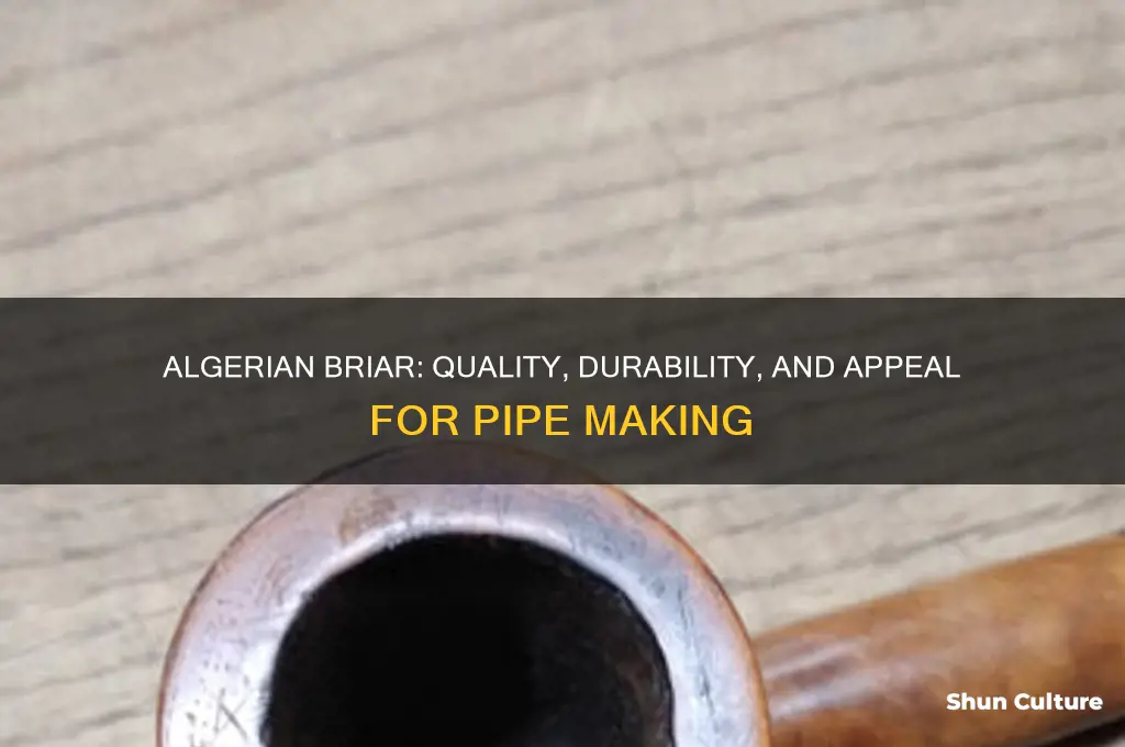 is algerian briar good for pipes