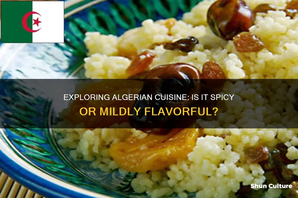 is algerian food spicy