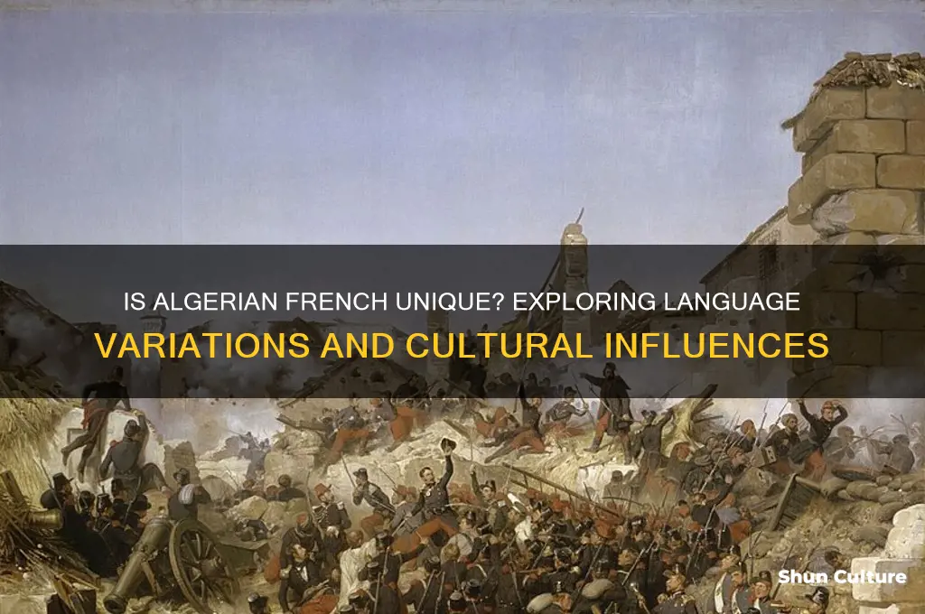 is algerian french different