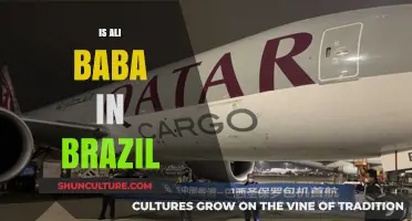 Exploring the Legend of Ali Baba in Brazil: Facts and Myths