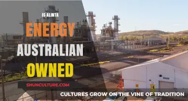 Alinta Energy: Australian-Owned?