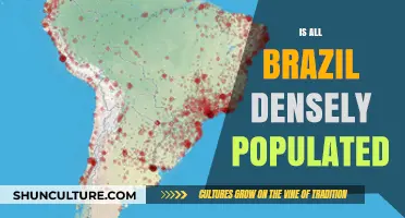 Exploring Brazil's Population Density: Myths and Realities
