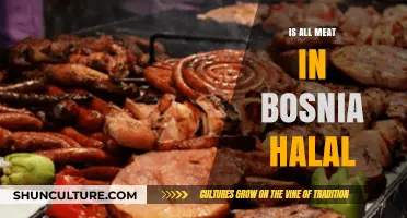 Is All Meat in Bosnia Halal? Exploring Bosnian Culinary Practices