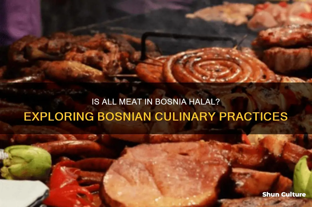is all meat in bosnia halal