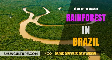 Exploring the Myth: Is the Entire Amazon Rainforest in Brazil?
