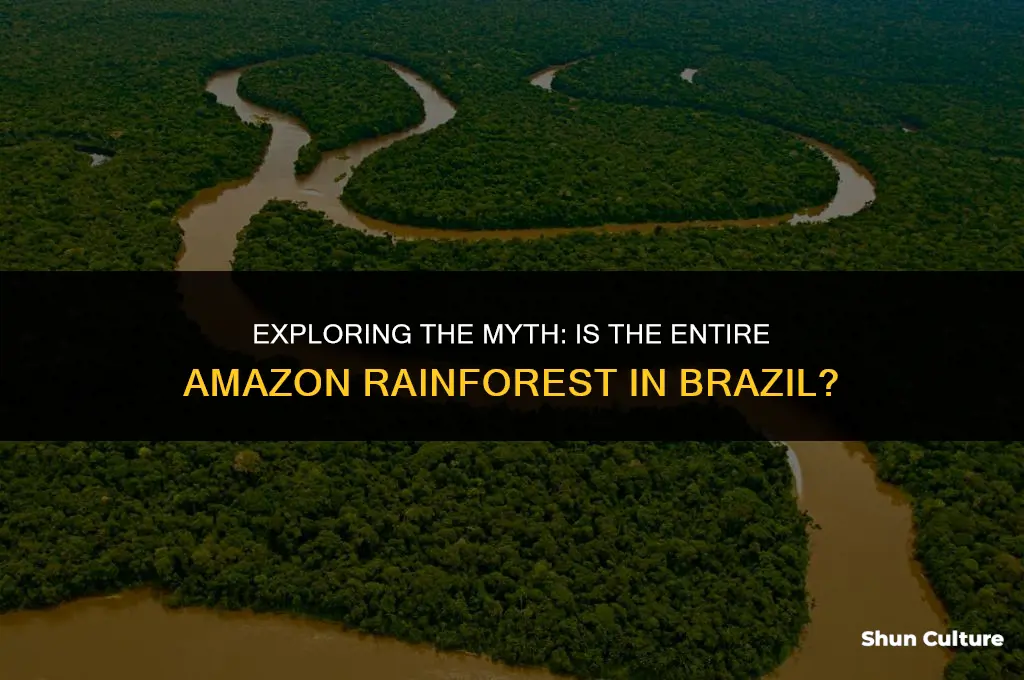 is all of the amazon rainforest in brazil