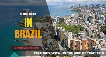 Exploring El Salvador's Cultural Presence in Brazil: A Deep Dive