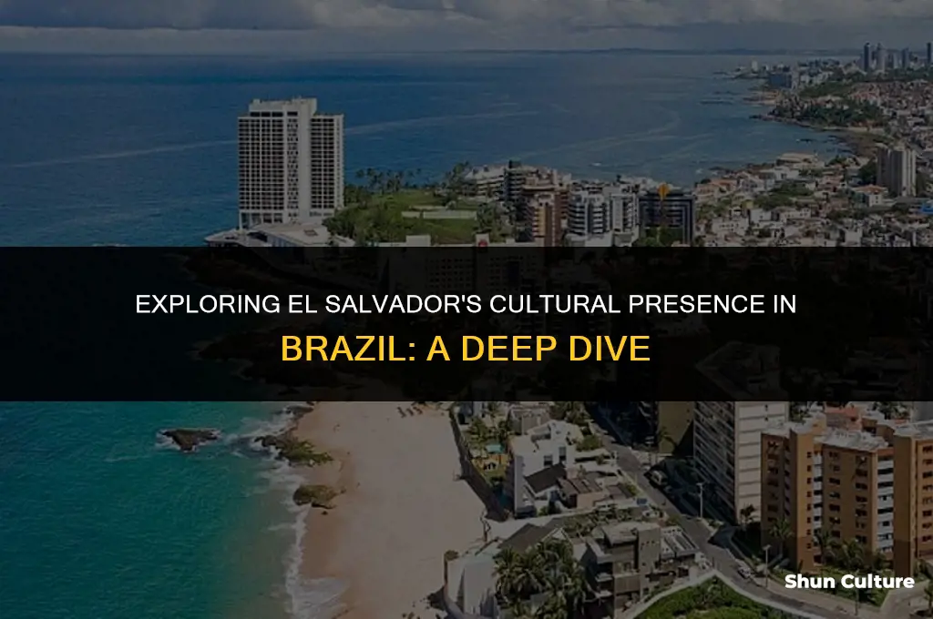 is alsalvadore in brazil