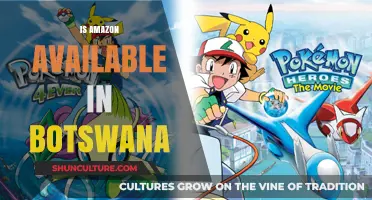 Is Amazon Available in Botswana? Exploring E-Commerce Options Locally