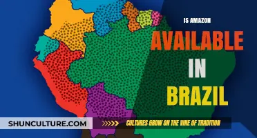 Exploring E-commerce: Is Amazon Available in Brazil?