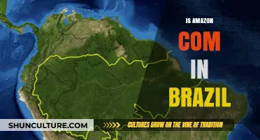 Exploring Amazon's Presence in Brazil: A Comprehensive Overview