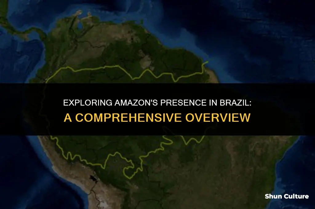 is amazon com in brazil