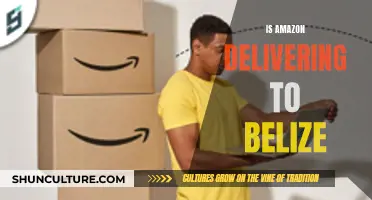 Amazon's Shipping Reach: Does it Cover Belize?