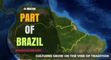 Exploring the Connection: Is Amazon a Part of Brazil?