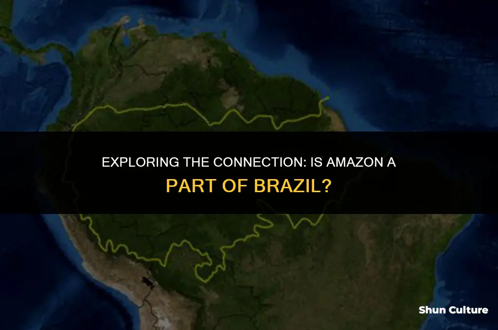 is amazon part of brazil