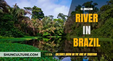 Exploring the Amazon: Brazil's Lifeline and Global Treasure