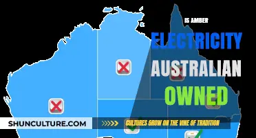 Amber Electricity: Australian-Owned Power Provider