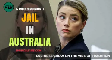 Will Amber Heard Face Jail Time in Australia? Legal Insights