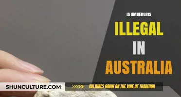 The Legal Status of Ambergris in Australia