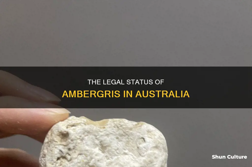 is ambergris illegal in australia