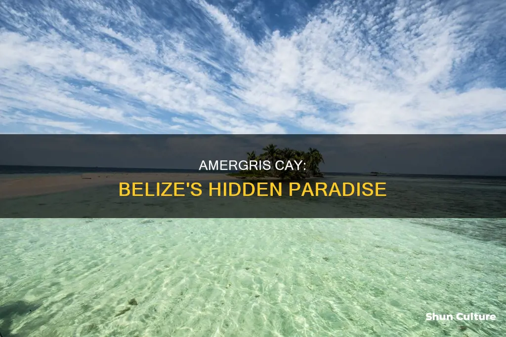 is amergris cay belize