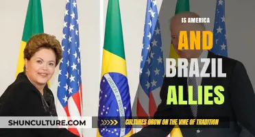 Examining the Strategic Partnership Between America and Brazil