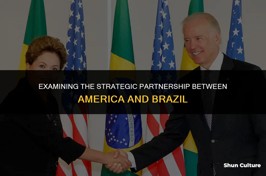 is america and brazil allies