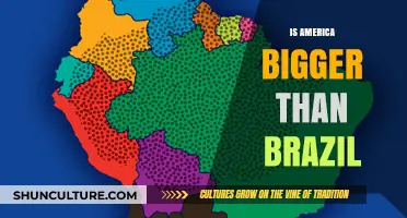 Comparing Giants: Is America Really Larger Than Brazil?