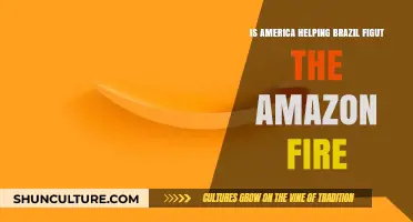 US Aid in Combating Amazon Fires: A Helping Hand or Too Little, Too Late?
