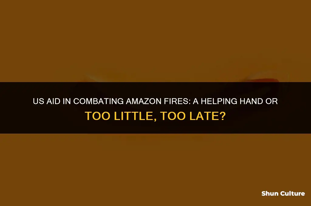 is america helping brazil figut the amazon fire