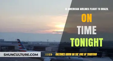American Airlines Brazil Flight: Tonight's Departure Status and Timeliness