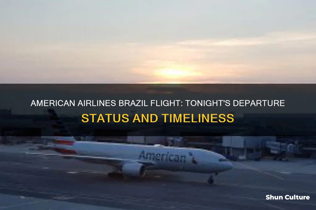 is american airlines flight to brazil on time tonight