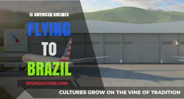 American Airlines' Brazil Flights: What You Need to Know