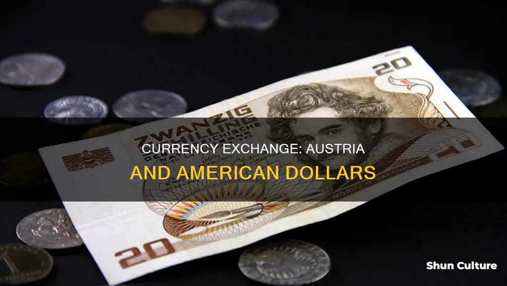 is american currency accepted in austria