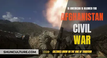 The American Shadow: Examining the US Role in Afghanistan's Civil War